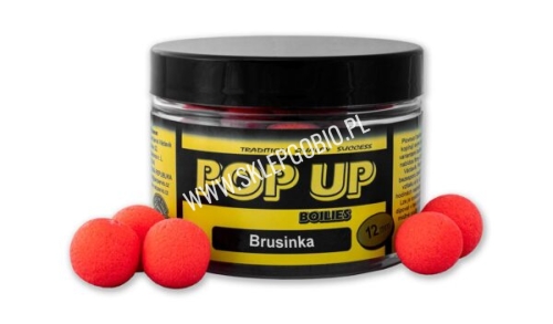 pop-up4-600x352.jpg